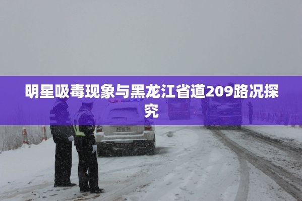 明星吸毒现象与黑龙江省道209路况探究