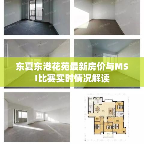 东夏东港花苑最新房价与MSI比赛实时情况解读