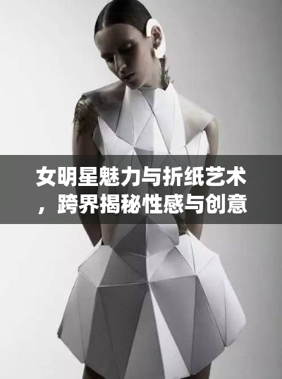 女明星魅力与折纸艺术,跨界揭秘性感与创意的完美结合