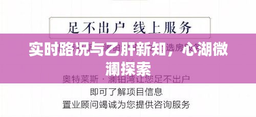实时路况与乙肝新知,心湖微澜探索