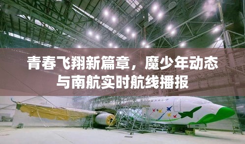 青春飞翔新篇章,魔少年动态与南航实时航线播报