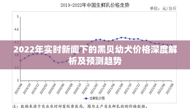 2022年实时新闻下的黑贝幼犬价格深度解析及预测趋势