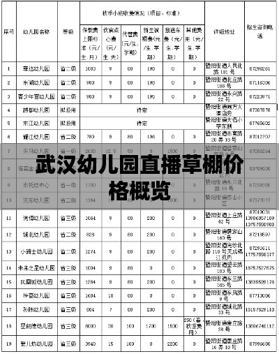 武汉幼儿园直播草棚价格概览