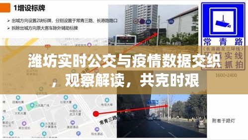 潍坊实时公交与疫情数据交织,观察解读,共克时艰