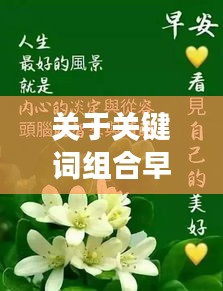 关于关键词组合早安问候语与实时天气江宁的全面解读与指导