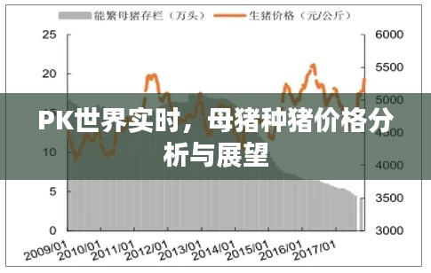 PK世界实时，母猪种猪价格分析与展望