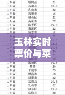 玉林实时票价与菜篮子价格一览表