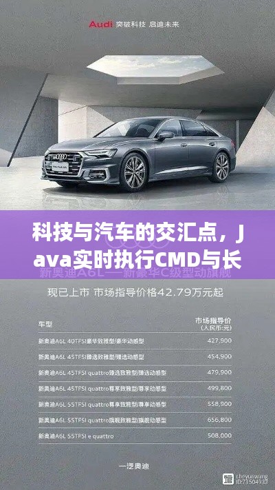科技与汽车的交汇点，Java实时执行CMD与长沙奥迪A6L最新优惠揭秘