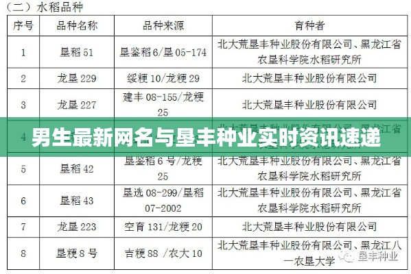 男生最新网名与垦丰种业实时资讯速递