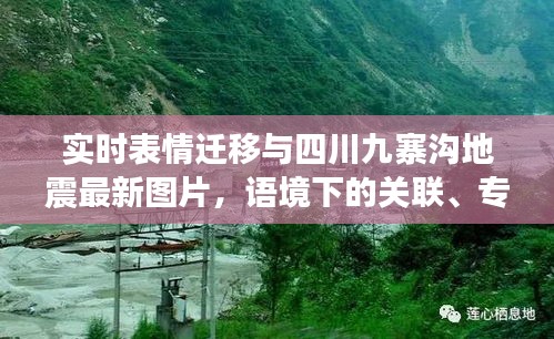 实时表情迁移与四川九寨沟地震最新图片,语境下的关联、专家解读及风险警示