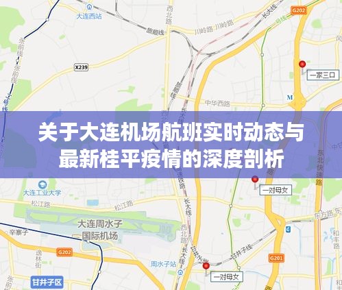 关于大连机场航班实时动态与最新桂平疫情的深度剖析