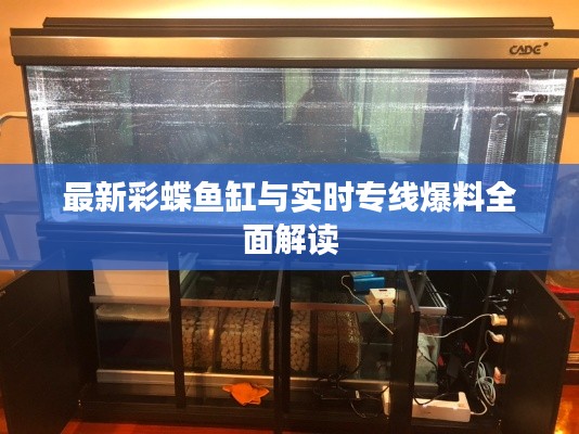 最新彩蝶鱼缸与实时专线爆料全面解读
