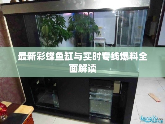 最新彩蝶鱼缸与实时专线爆料全面解读