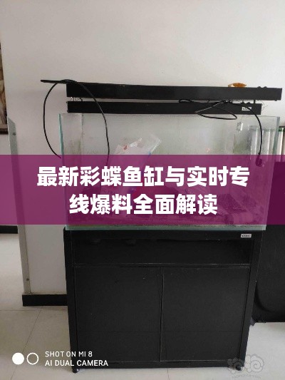 最新彩蝶鱼缸与实时专线爆料全面解读