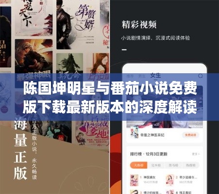 陈国坤明星与番茄小说免费版下载最新版本的深度解读及警惕虚假宣传