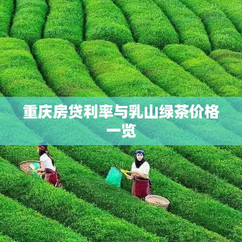 重庆房贷利率与乳山绿茶价格一览
