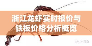 浙江龙虾实时报价与铁板价格分析概览