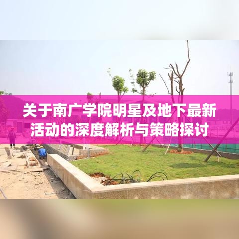 关于南广学院明星及地下最新活动的深度解析与策略探讨