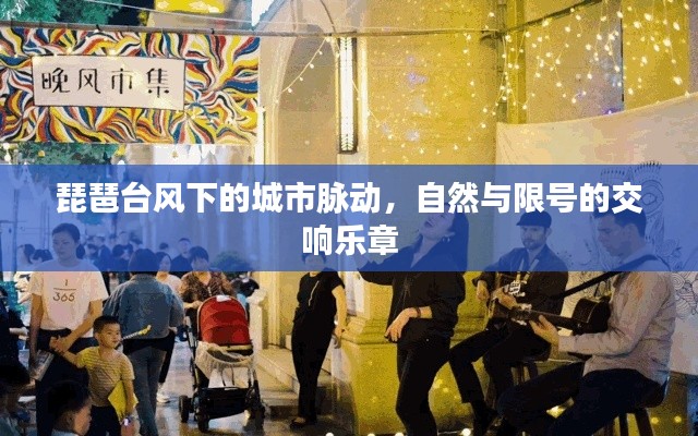 琵琶台风下的城市脉动，自然与限号的交响乐章