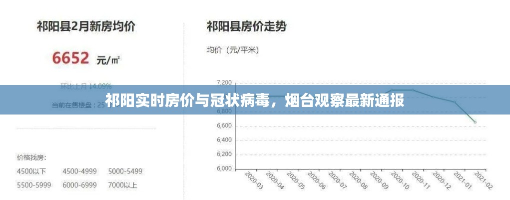 祁阳实时房价与冠状病毒,烟台观察最新通报
