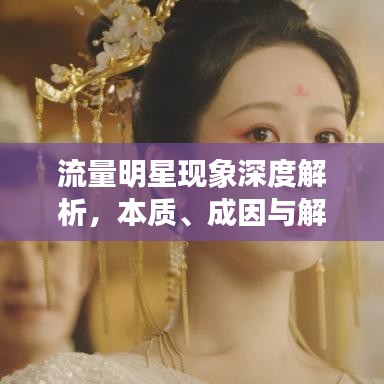 流量明星现象深度解析,本质、成因与解决路径探索