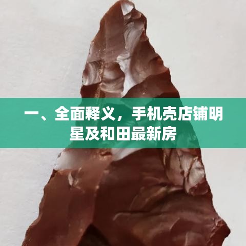 一、全面释义,手机壳店铺明星及和田最新房
