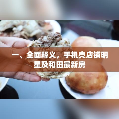 一、全面释义,手机壳店铺明星及和田最新房