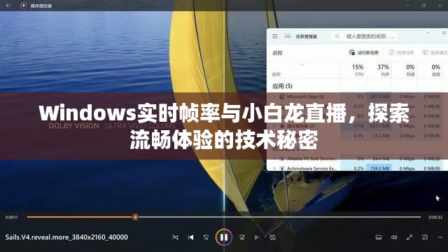 Windows实时帧率与小白龙直播,探索流畅体验的技术秘密