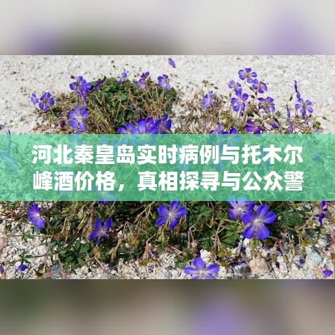 河北秦皇岛实时病例与托木尔峰酒价格,真相探寻与公众警惕