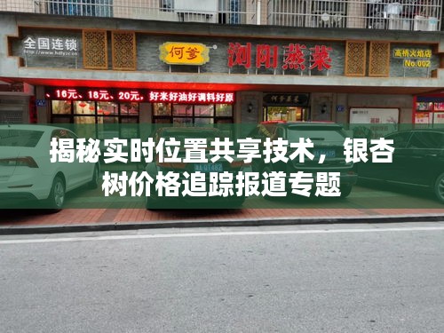 揭秘实时位置共享技术,银杏树价格追踪报道专题