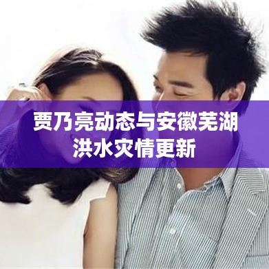 贾乃亮动态与安徽芜湖洪水灾情更新