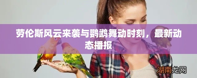 劳伦斯风云来袭与鹦鹉舞动时刻,最新动态播报