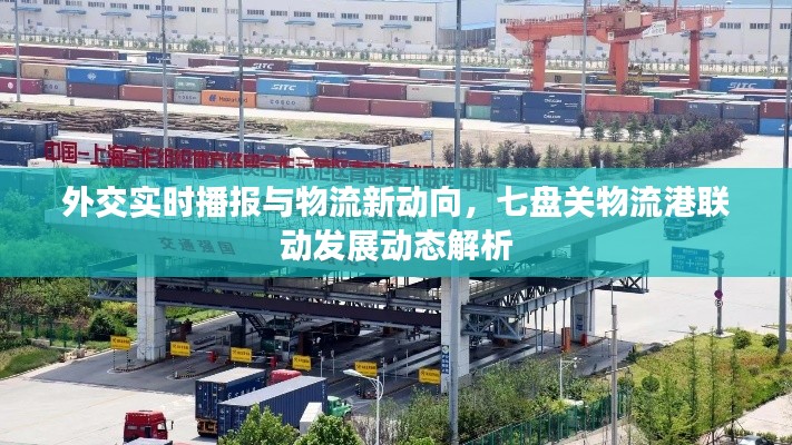 外交实时播报与物流新动向,七盘关物流港联动发展动态解析