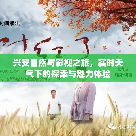 兴安自然与影视之旅，实时天气下的探索与魅力体验