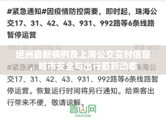 坦洲最新病例及上海公交实时信息,城市安全与出行最新动态