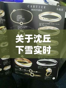关于沈丘下雪实时动态与卡地亚手镯日本价格的综合解析