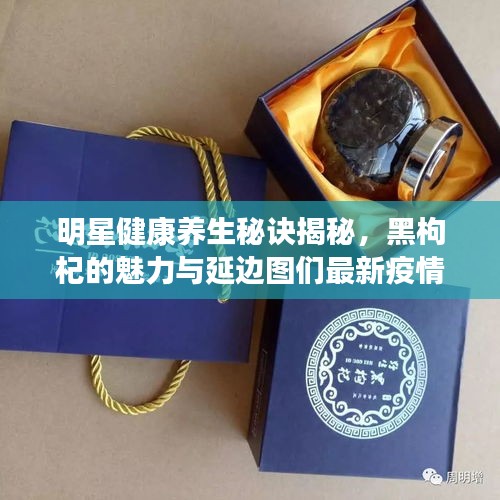 明星健康养生秘诀揭秘，黑枸杞的魅力与延边图们最新疫情动态