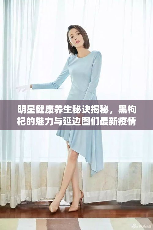 明星健康养生秘诀揭秘,黑枸杞的魅力与延边图们最新疫情动态