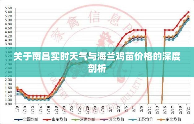 关于南昌实时天气与海兰鸡苗价格的深度剖析