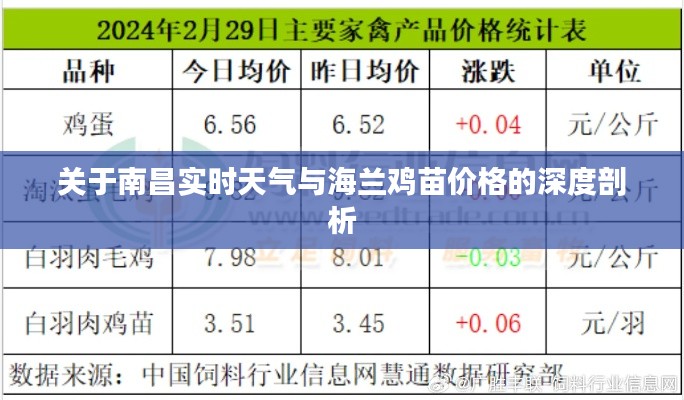 关于南昌实时天气与海兰鸡苗价格的深度剖析
