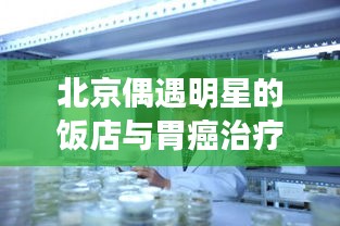 北京偶遇明星的饭店与胃癌治疗新进展