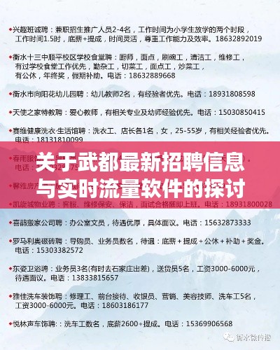 关于武都最新招聘信息与实时流量软件的探讨