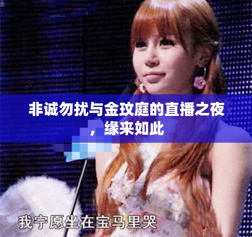 非诚勿扰与金玟庭的直播之夜,缘来如此