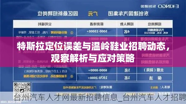 特斯拉定位误差与温岭鞋业招聘动态,观察解析与应对策略