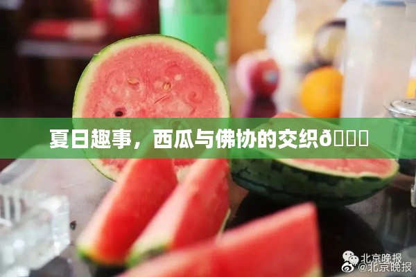 夏日趣事,西瓜与佛协的交织🍉