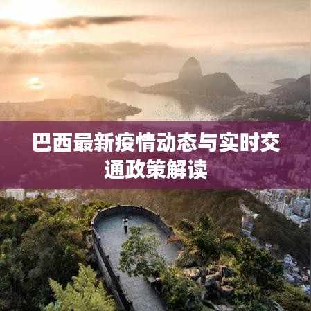巴西最新疫情动态与实时交通政策解读