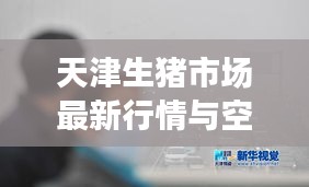 天津生猪市场最新行情与空气质量关注,解析价格动态与PM10现象