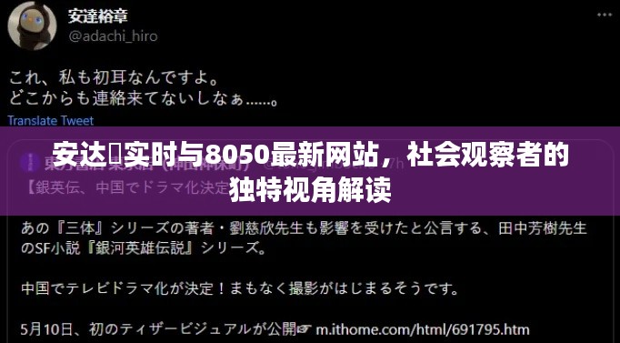 安达祐实时与8050最新网站,社会观察者的独特视角解读