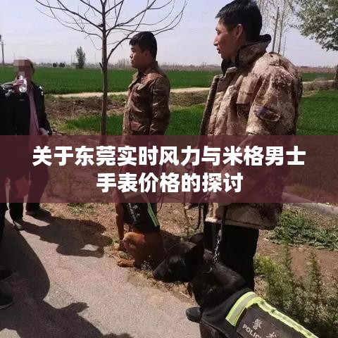 关于东莞实时风力与米格男士手表价格的探讨