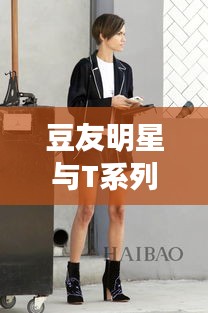 豆友明星与T系列,探索未知魅力之旅的最新动态